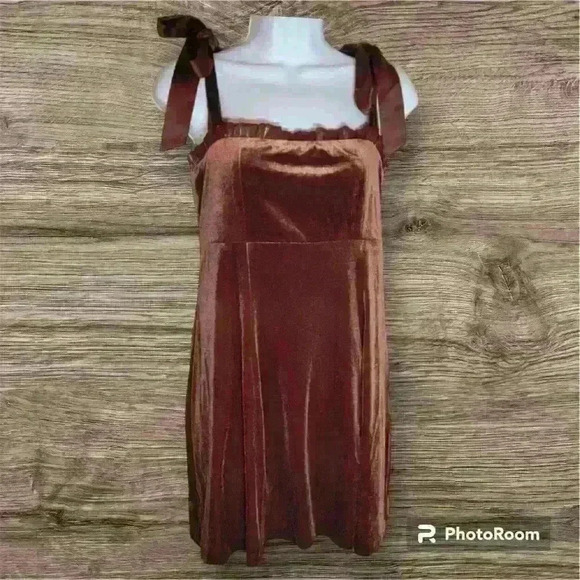 NWT Danielle Bernstein Women's Velvet Short Mini Dress - Warm Brown Size Small - Picture 1 of 3